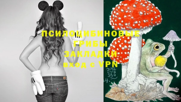 mdma Заволжск