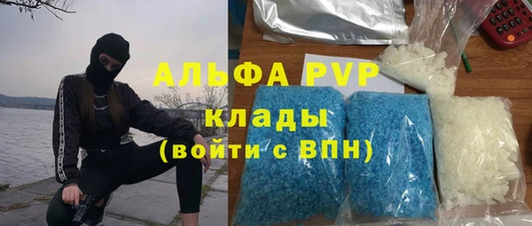 альфа пвп Заводоуковск